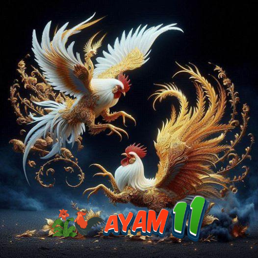 Ayam11: Platform Favorit untuk Hiburan Online